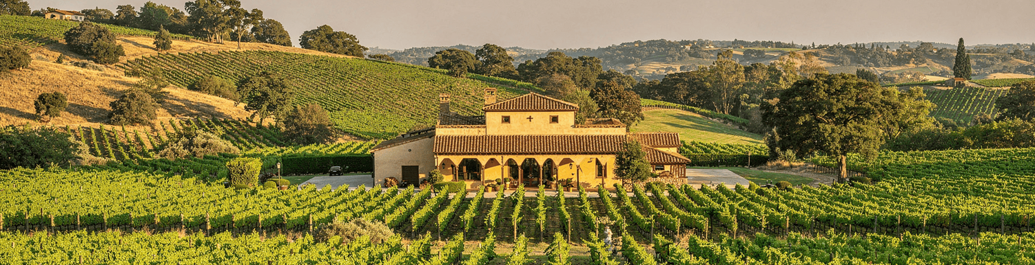 wineries 1 - The wineries